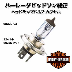 Harley Davidson（ハーレー・ダビッドソン） 鍵付きフュエルキャップ