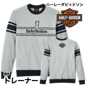 HARLEY DAVIDSON × Champion / リバースウィーブスウェット/L/コットン/レッド/ワッペン/チャンピオン/青単復刻 HARLEY DAVIDSON◇リバースウィーブスウェット/L/コットン/レッド