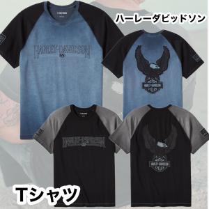 Harley Davidson（ハーレー・ダビッドソン） tシャツ Dickies(R)x H-D