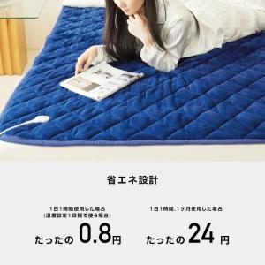 クーポンで5,980円から 秋冬用暖かい暖房敷...の詳細画像5