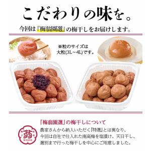 梅干し 減塩 しそ漬け梅 塩分3% 梅翁園選 ...の詳細画像1