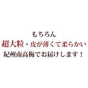 しそ漬け 甘い 梅干し ご家庭用エコパック ゆ...の詳細画像3