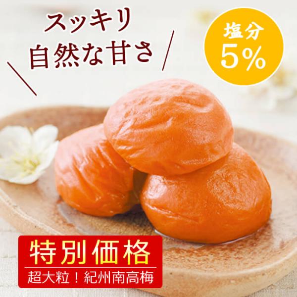 梅干し はちみつ 送料無料 超大粒 スイートはちみつ 500g 塩分5％ はちみつ梅 4Lサイズ 特...