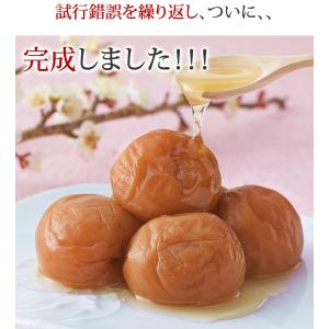 ネット限定 梅干し 減塩 はちみつ 塩分3% ...の詳細画像3
