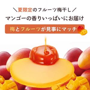 梅干し フルーツ梅干 塩分3% マンゴーはちみ...の詳細画像1