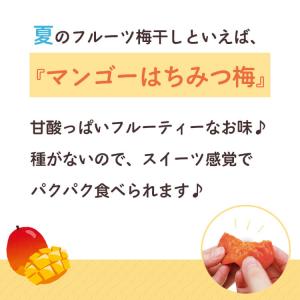 梅干し フルーツ梅干 塩分3% マンゴーはちみ...の詳細画像2