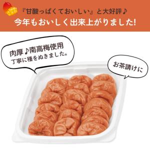 梅干し フルーツ梅干 塩分3% マンゴーはちみ...の詳細画像3