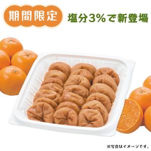 【ご好評につき完売いたしました】フルーツ梅 梅干し みかんはちみつ梅種ぬいちゃいました380g 種ぬきみかん梅 期間限定 はちみつ梅 梅翁園 ばいおうえん
