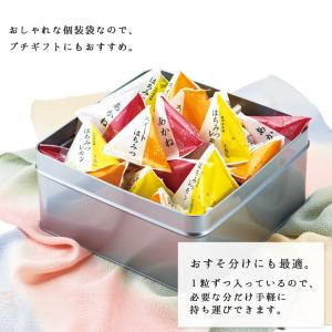 梅干し お祝 お返し 内祝 健康 ギフト 内祝...の詳細画像3