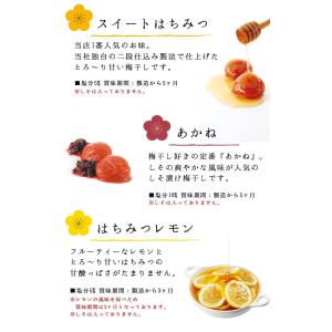 梅干し お祝 お返し 内祝 健康 ギフト 内祝...の詳細画像4