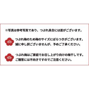 梅干し 訳あり つぶれ梅 数量限定 つぶれ梅 ...の詳細画像2