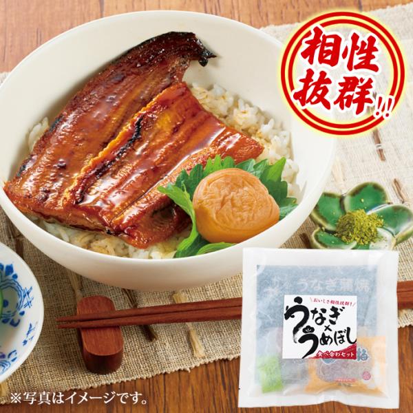 梅干し うなぎ蒲焼き 山椒 うなぎ×うめぼし 食べ合わセット 一人前 国産 うなぎ屋かわすい様 コラ...