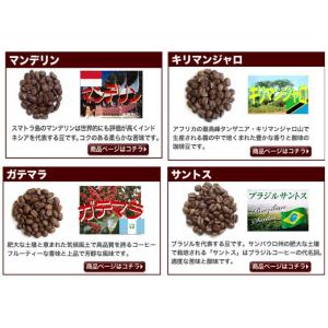 コーヒー豆 各200g計600g 12点の珈琲...の詳細画像1