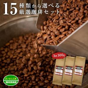 コーヒー豆 15点の珈琲豆から選べる3点300ｇセット福袋