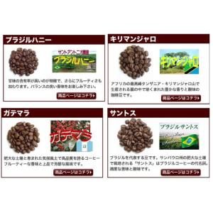 コーヒー豆 15点の珈琲豆から選べる3点300...の詳細画像1