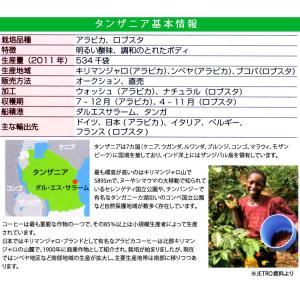 コーヒー豆 タンザニア キリマンジャロ AA ...の詳細画像4