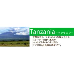コーヒー豆 タンザニア キリマンジャロ AA ...の詳細画像5