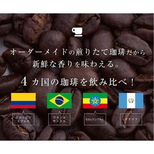 コーヒー豆 送料無料 4か国の珈琲飲み比べ!各...の詳細画像1