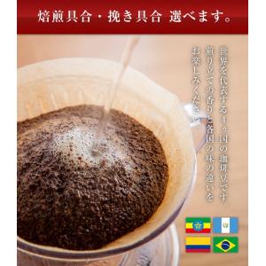 コーヒー豆 送料無料 4か国の珈琲飲み比べ!各...の詳細画像2