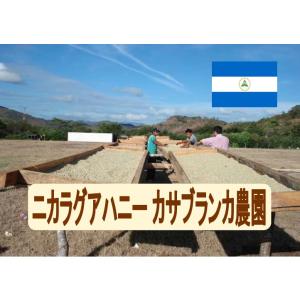 コーヒー豆 ニカラグア カツーラハニー カサブランカ農園 100ｇ 珈琲 珈琲豆