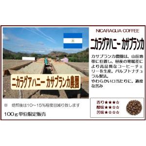 コーヒー豆 ニカラグア カツーラハニー カサブ...の詳細画像2