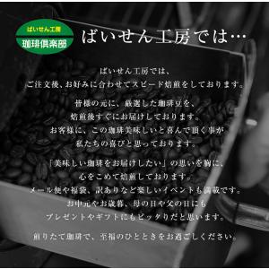 コーヒー豆 ブラジルブルボン 200gの詳細画像5
