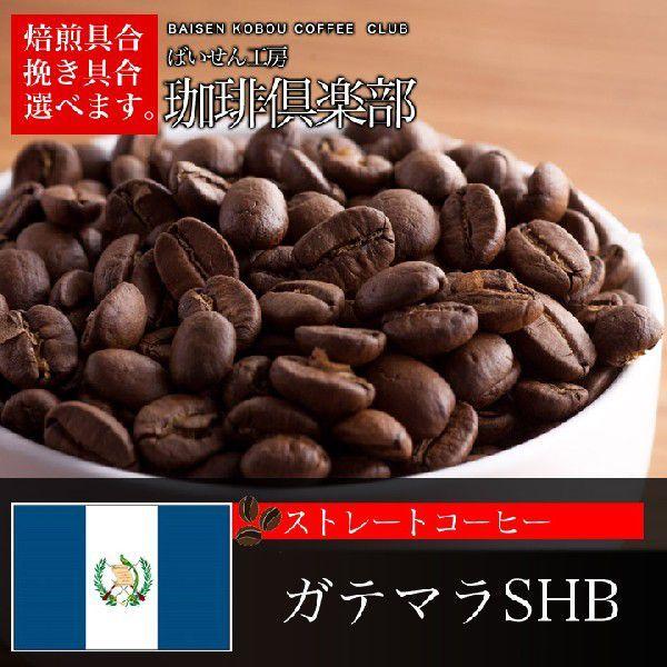 コーヒー豆 ガテマラ 500g