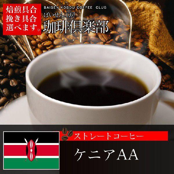 コーヒー豆 ケニア 100g