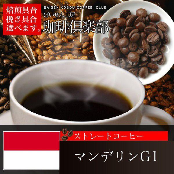 コーヒー豆 マンデリン 500g
