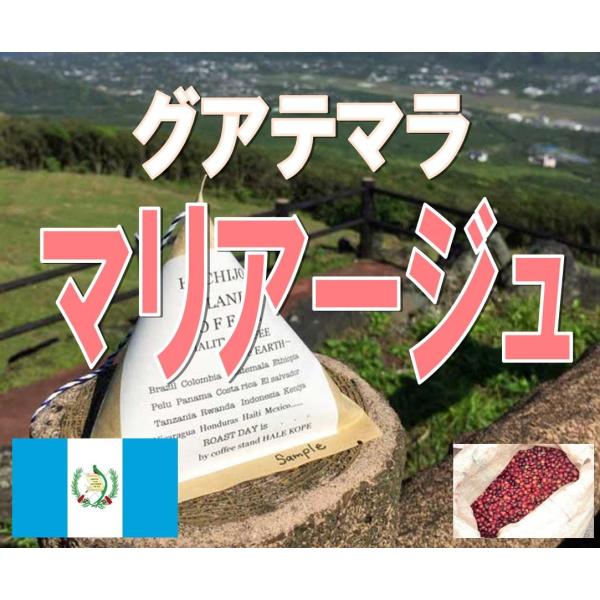 コーヒー豆 グアテマラ マリアージュ 200ｇ