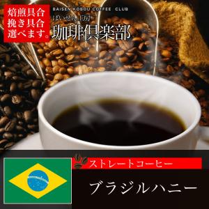 コーヒー豆 世界の珈琲飲み比べのギフト各100...の詳細画像5