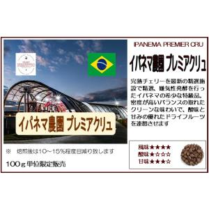 コーヒー豆 ブラジルイパネマ農園プレミアクリュ...の詳細画像4