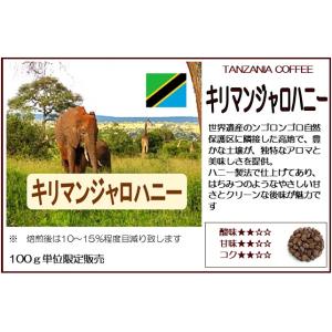 コーヒー豆 タンザニアキリマンジャロハニー 1...の詳細画像2