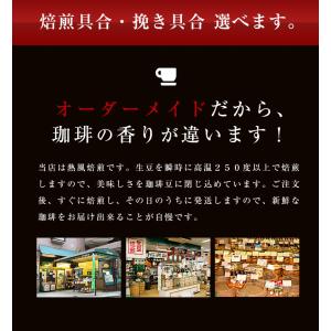 コーヒー豆 タンザニアキリマンジャロハニー 1...の詳細画像5