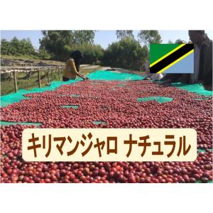コーヒー豆 タンザニアキリマンジャロナチュラル 100ｇ 珈琲 珈琲豆