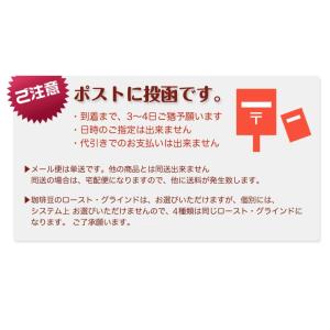 コーヒー豆 メール便 送料無料 水出しアイス珈...の詳細画像4
