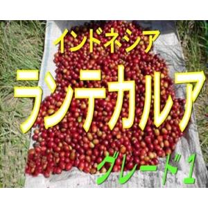 コーヒー豆  インドネシア　ランテカルアG1　100ｇ