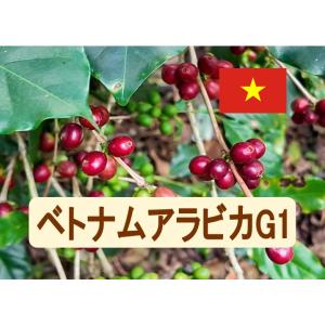 コーヒー豆 ベトナムアラビカG1 100ｇ 珈琲 珈琲豆