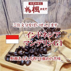 ダルマイヤー コーヒー プロドモ 250g 豆 12パック セット ロースト
