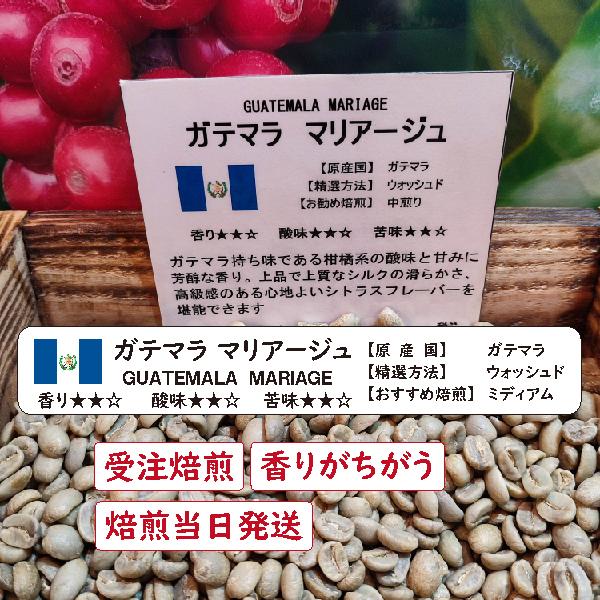 コーヒー豆 コーヒー 受注焙煎 200g  ガテマラ グァテマラ 酸味 コク 香り ガテマラマリアー...