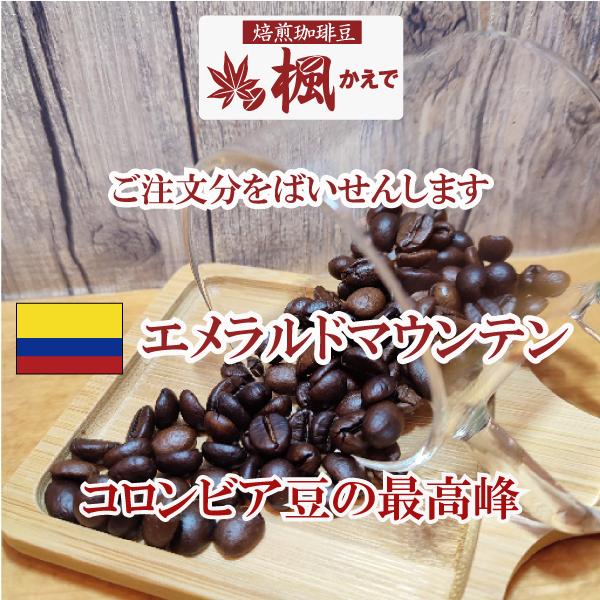 コーヒー豆 コロンビア エメラルドマウンテン 100g コーヒー ばいせん工房 焙煎したて すぐ発送...