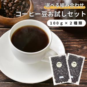 コーヒー豆 お試し コーヒー粉 爆買 深煎り ガテマラ モンスーン アラビカ 珈琲豆 ドリップ コーヒー 送料無料 お試しセット 100g×2種類