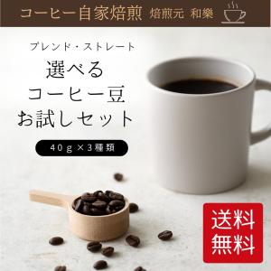 コーヒー豆 コーヒー粉 お試しセット 爆買 ケニア モンスーン ガテマラ ブレンド ドリップ 深煎り 中煎り 浅煎り 送料無料 珈琲豆お試しセット40g×3種類