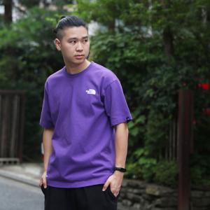 ザノースフェイス THE NORTH FACE S/S Tested Proven Tee - NT82030 メンズ トップス Tシャツ  ギフト