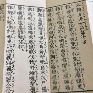 #資070 金光明最勝王経陀羅尼 句読平仮名付 小形の詳細画像4