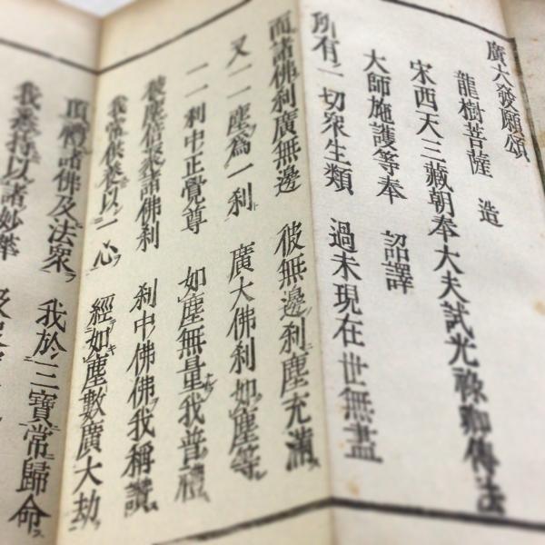 #資223 龍樹菩薩 廣大発願頌 訓点付 小形