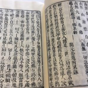 #036 鉄眼版 三千仏名経(木版手摺)の詳細画像3