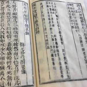 #036 鉄眼版 三千仏名経(木版手摺)の詳細画像4