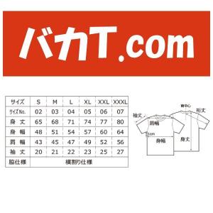 パタゴリラ ドライTシャツの方 ツルツルのやつ...の詳細画像3
