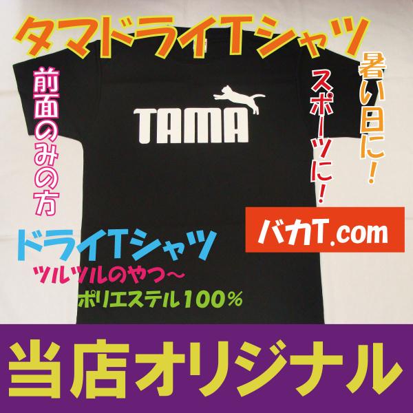 TAMA タマ　猫　おもしろパロディTシャツ フロントのみの方　ツルツルのやつ　ドライTシャツ